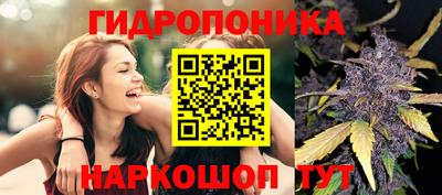 ALPHA-PVP Камышлов